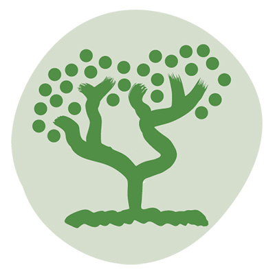 Principle 3: Respectful relationships. Working with First Nations peoples