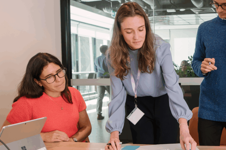 Policy and program development